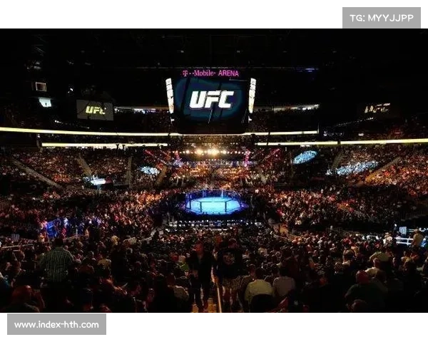 UFC新加坡站将举办武术与医学论坛探索跨界融合与发展 UFC新加坡站将举办武术与医学论坛探索跨界融合与发展